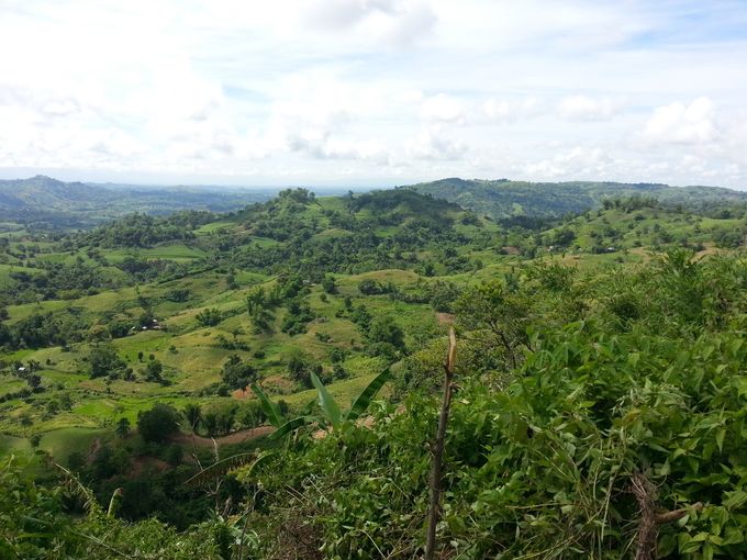Photo prise du haut de la colline