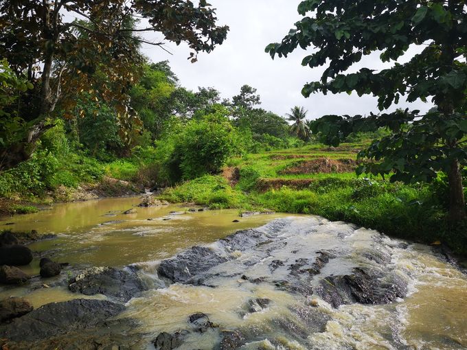 Paysages dans les Visayas